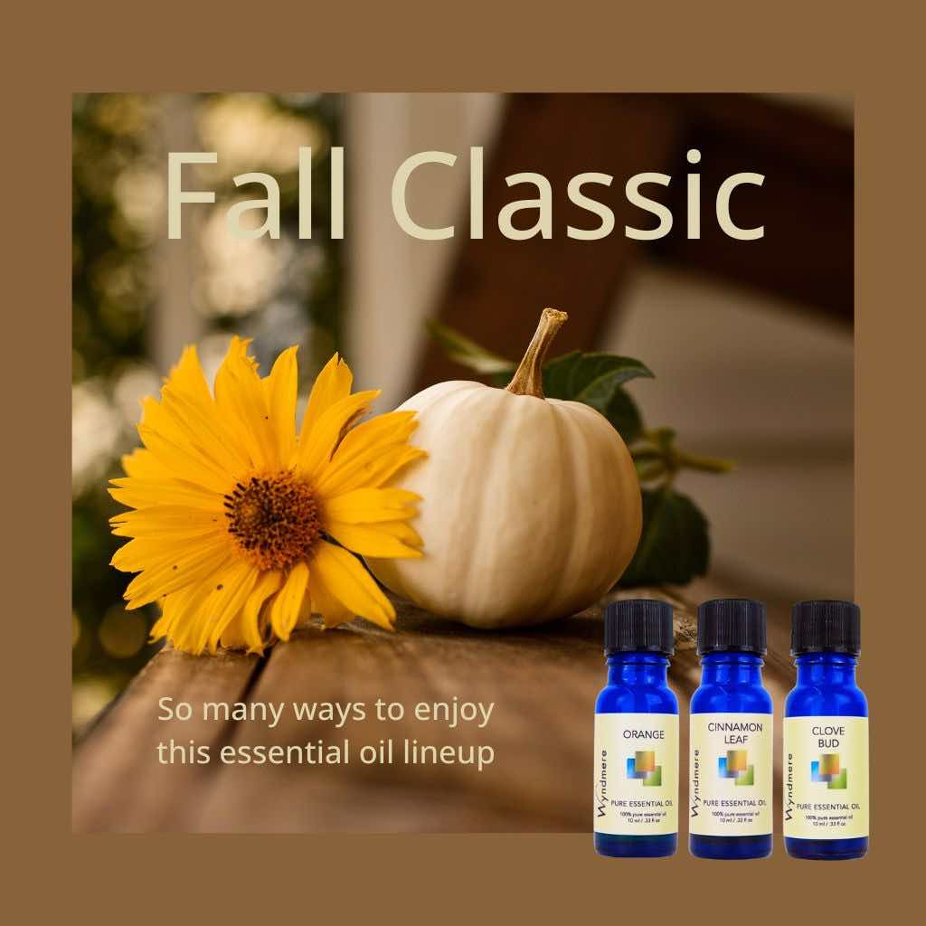 Wyndmere - Autumn image with flower, and pumpkin with clove, cinnamon, and orange essential oil.