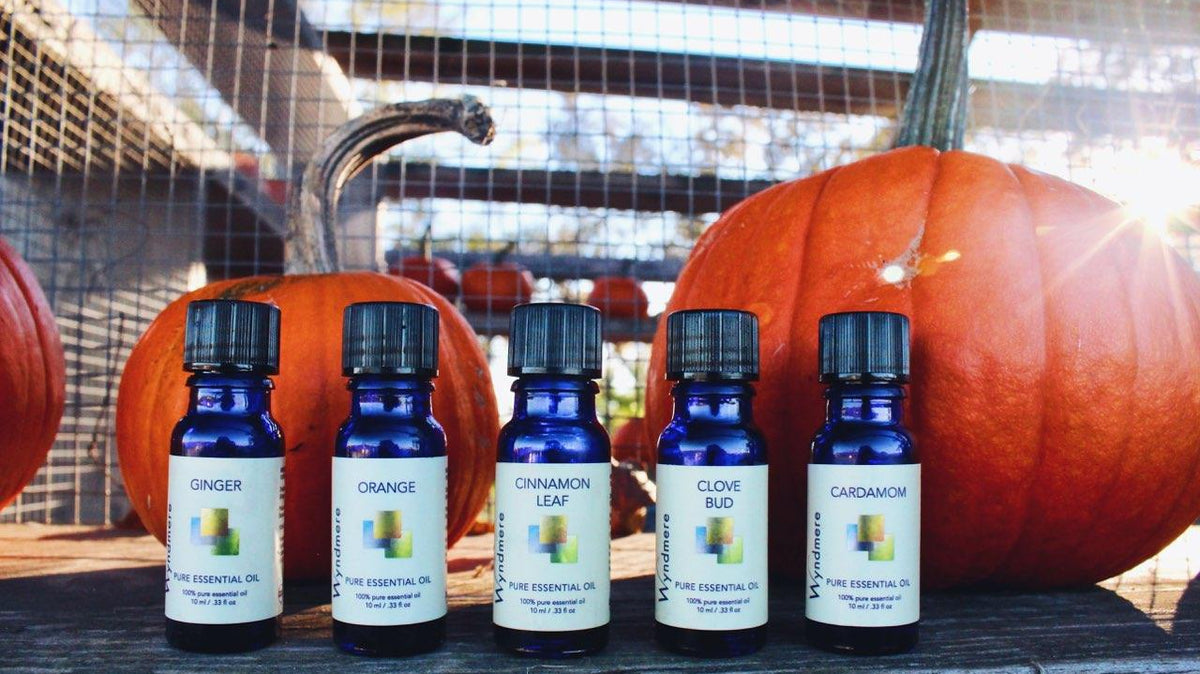 Clove Bud Essential Oil - Wyndmere Naturals