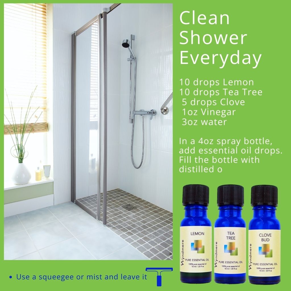Wyndmere - Everyday Clean Shower Recipe Bundle