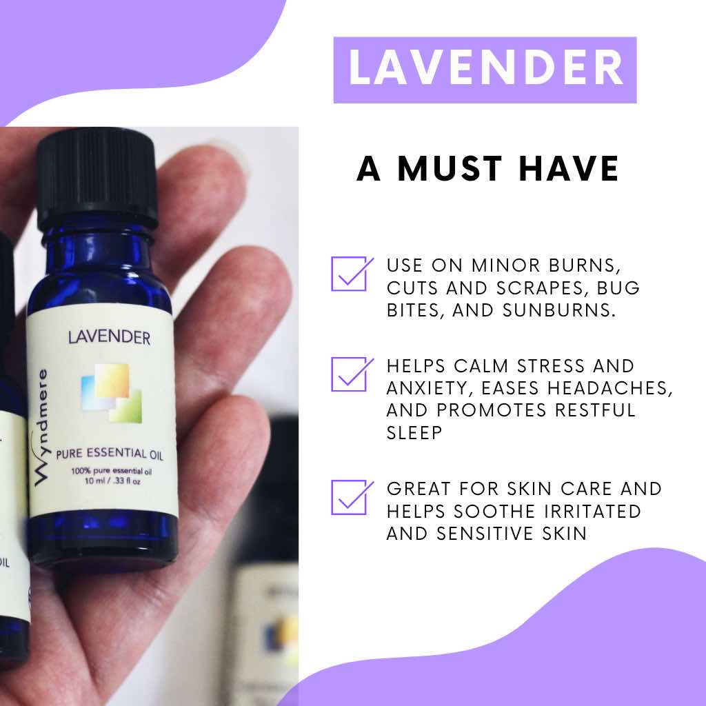 Wyndmere Lavender essential oil in a cobalt blue bottle held in a hand with product details on a white background