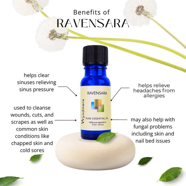 Ravensara_-_Wyndmere_600x.jpg?