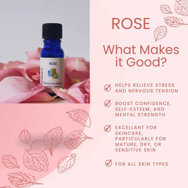 Rose Essential Oil in Jojoba - Wyndmere - Wyndmere Naturals