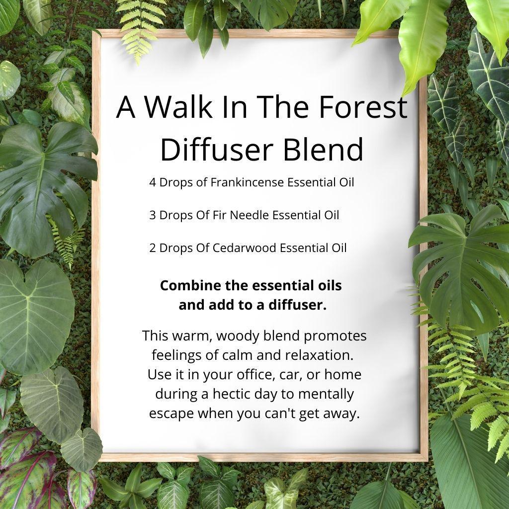 Recipe card for A Walk In The Forest diffuser blend, a warm, woody scent