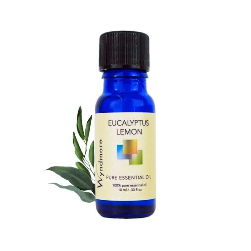 Eucalyptus citriodora leaves with a 10ml cobalt blue bottle of Wyndmere Lemon Eucalyptus (citriodora) Essential Oil