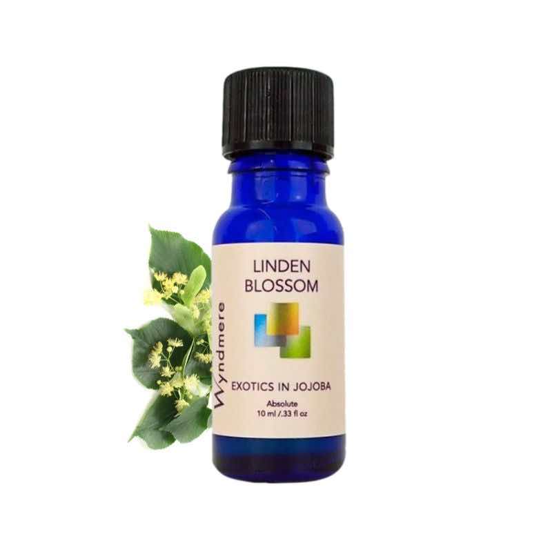 Linden flowers and leaves with Wyndmere Linden Blossom Oil diluted in Jojoba in a 10ml cobalt blue bottle