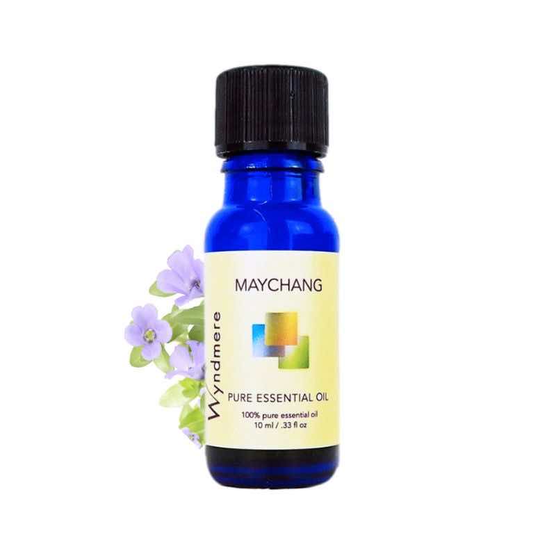 May Chang (Litsea cubeba) flowers with a 10ml cobalt blue bottle of Wyndmere May Chang Essential Oil