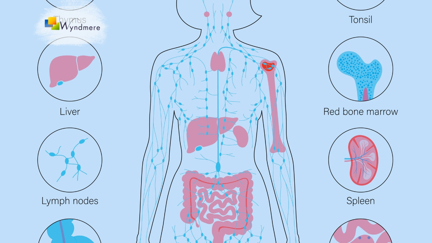 Essential Oils for Immune Support: What Actually Works?