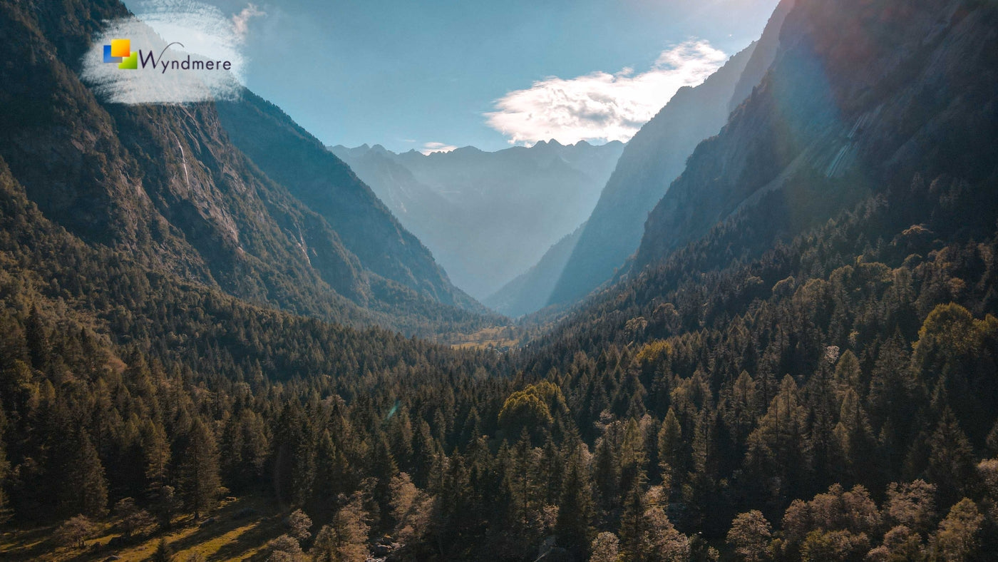 How to Make a Natural Room Spray with Essential Oils