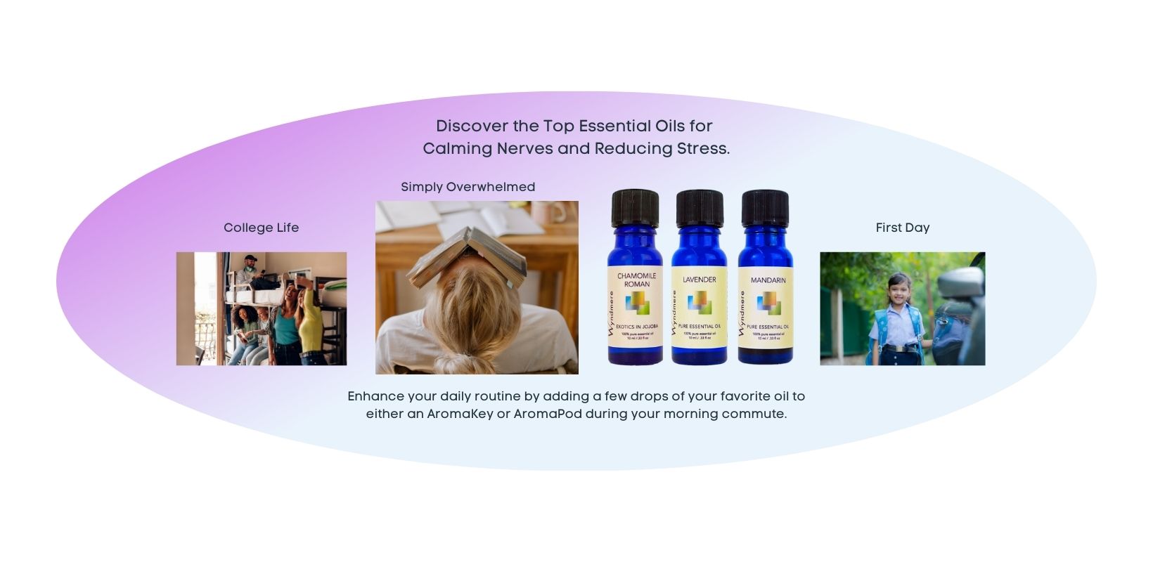 Top Essential Oils for Calming Nerves and Reducing Stress