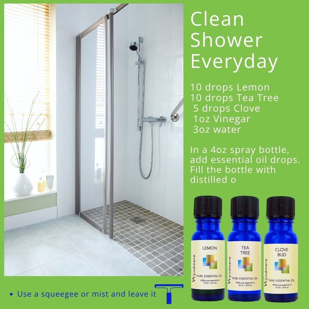 Clean Shower Everyday recipe card
