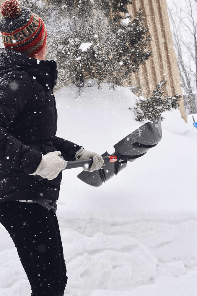 Aches & Pains Collection - Wyndmere Naturals