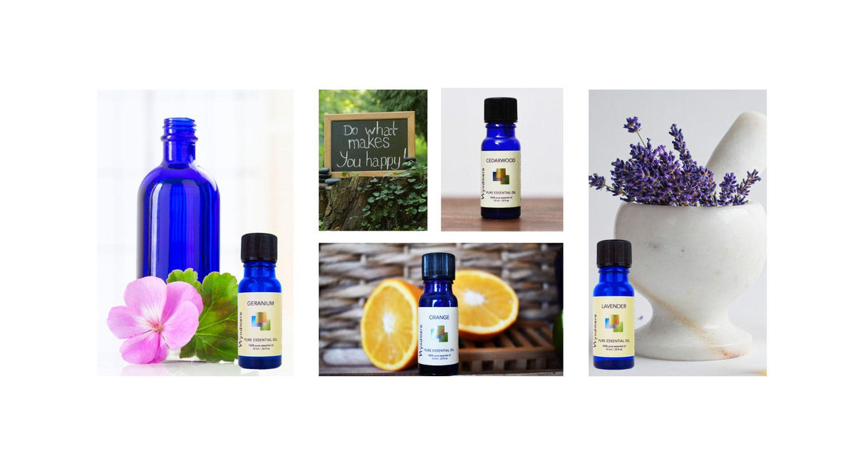Wyndmere Naturals blog framed quote about doing more of what makes you happy. Also pictured, plant and a candle topiary.