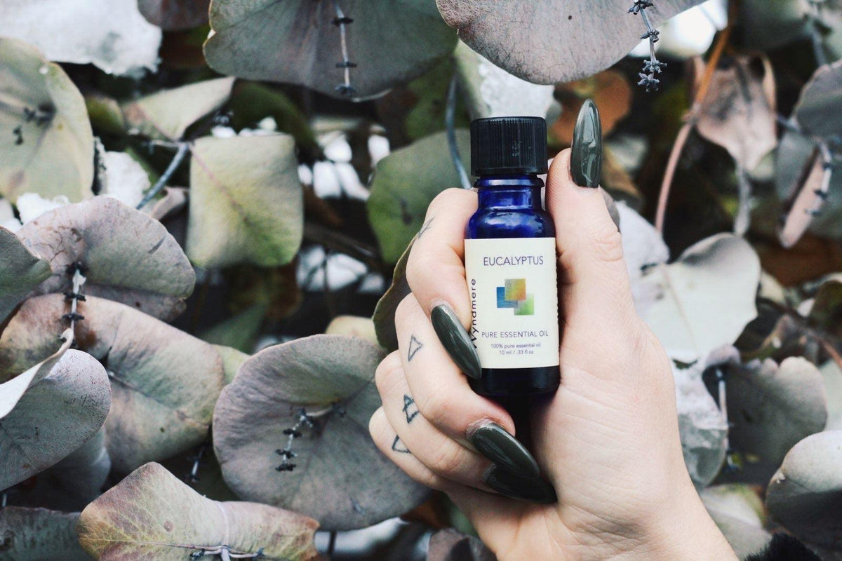 Best Essential Oils for Seasonal Allergies pictured chamomile and lavender.