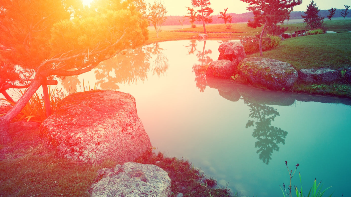 10 Essential Oils to Cultivate Inner Peace