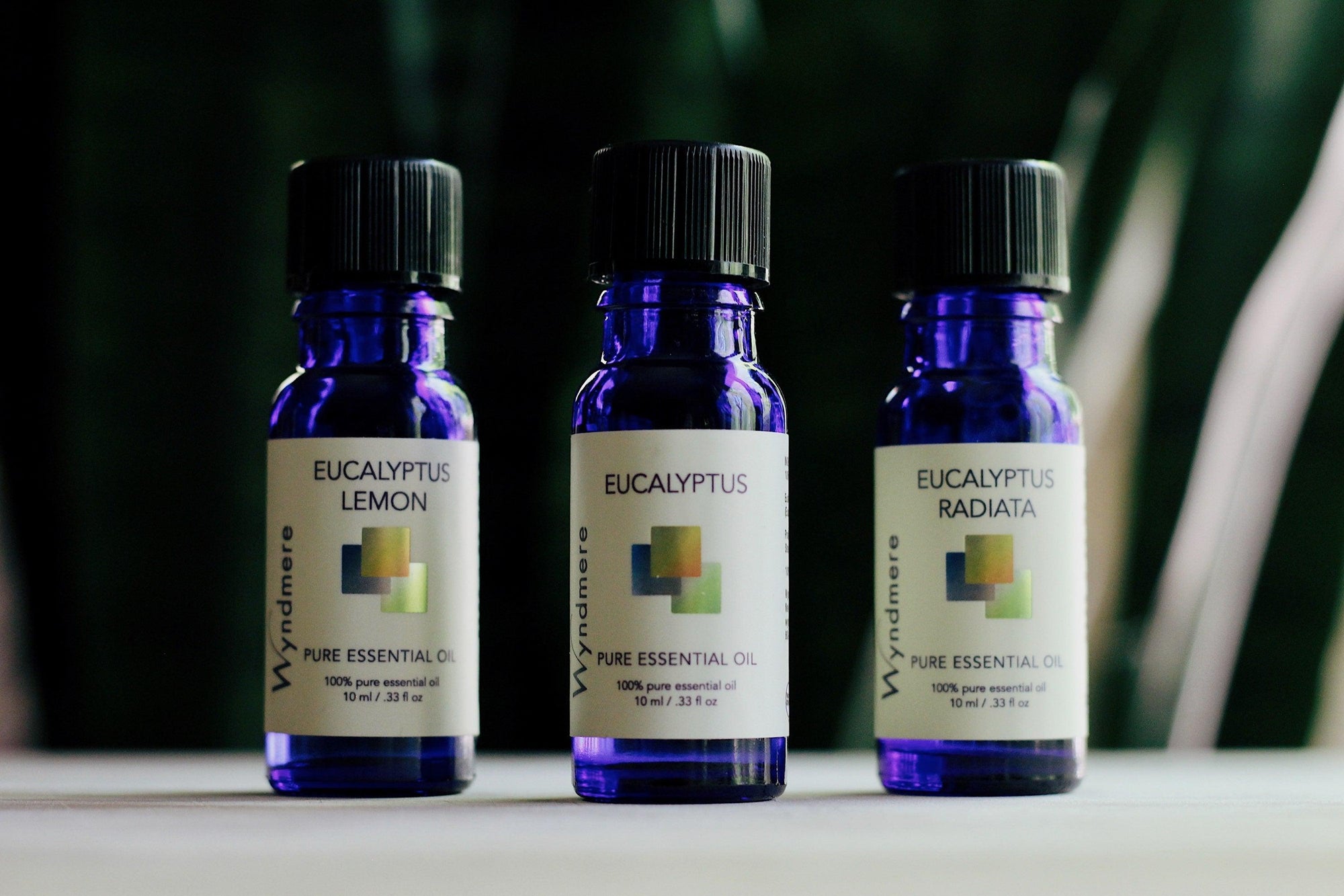 Wyndmere pure ingredients with the best pure essential oils. Eucalyptus, Eucalyptus, Eucalyptus lemon, Eucalyptus radiata, certified organic Eucalyptus