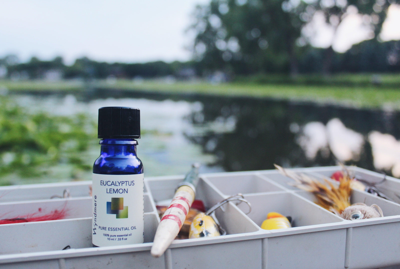 Lemon Eucalyptus Citriodora use outdoors to keep bugs at bay  