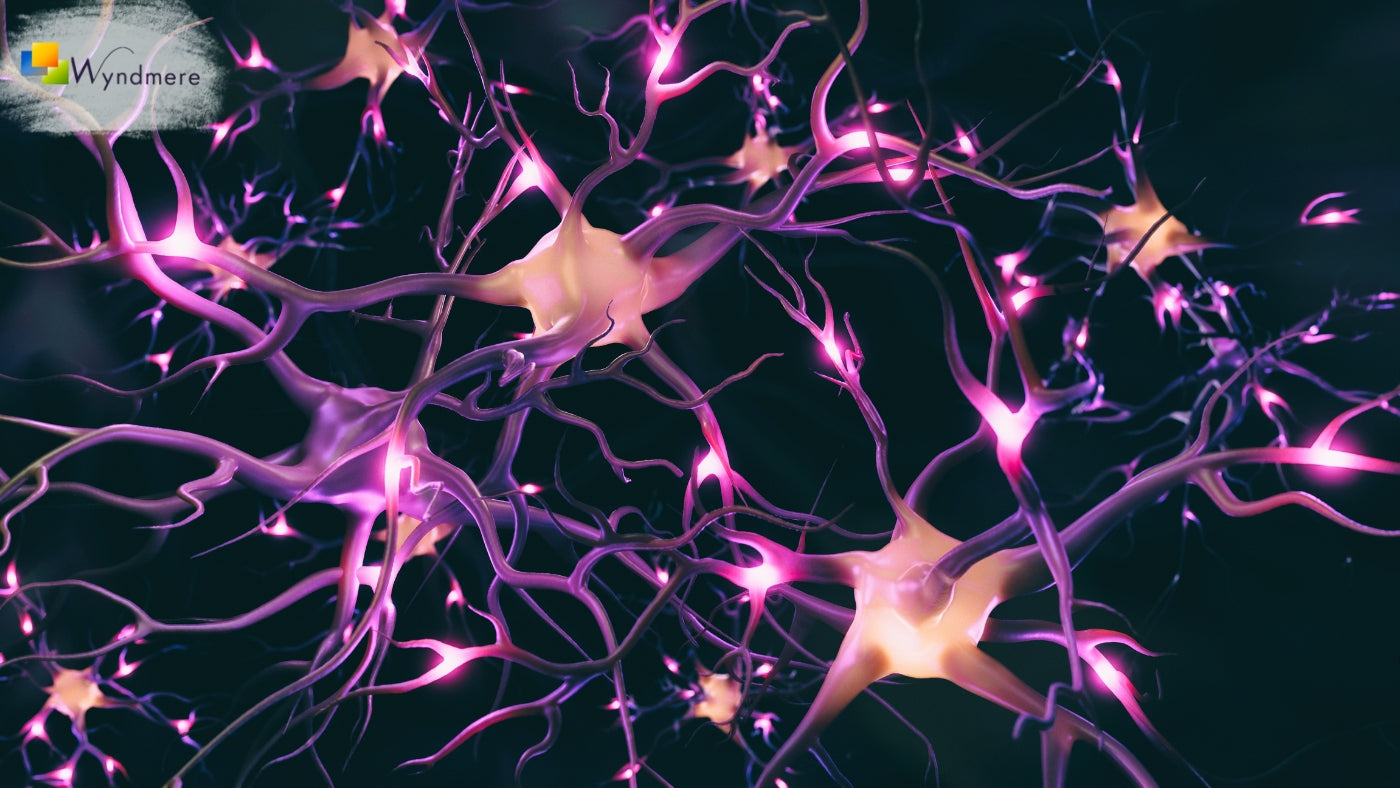 Why Some Scents Instantly Relax the Nervous System