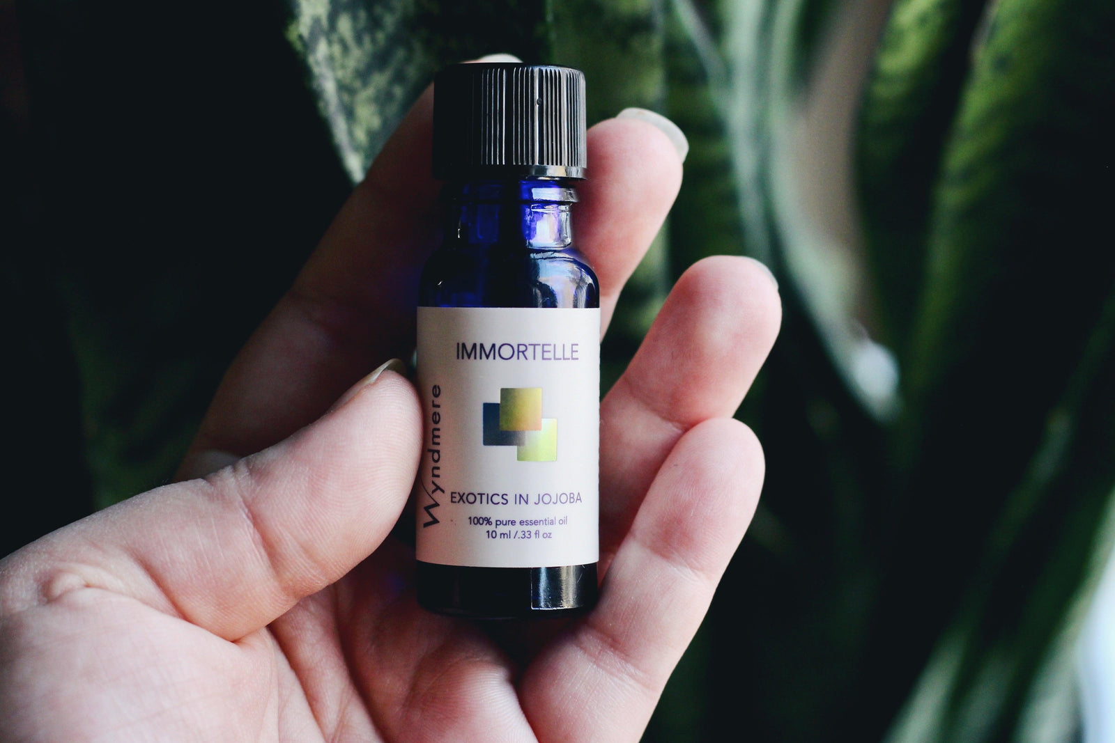 Skin Renewal Serum - Recipe - Wyndmere Naturals