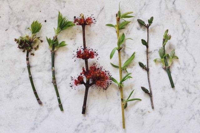 Spring Cleaning Can Irritate Those Spring Allergies - Wyndmere Naturals