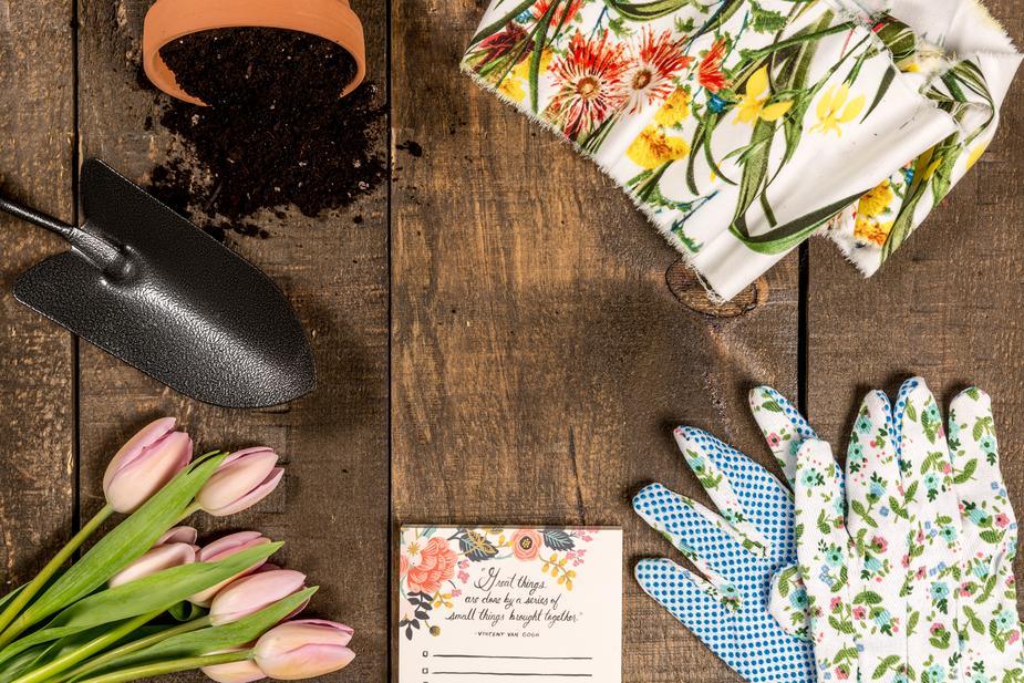 Springtime Diffuser Blends - Wyndmere Naturals
