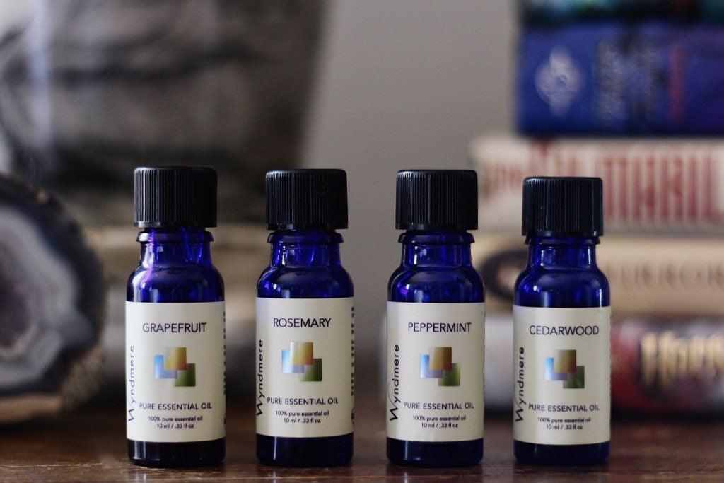 Study Buddy | Books Over Screens - Wyndmere Naturals