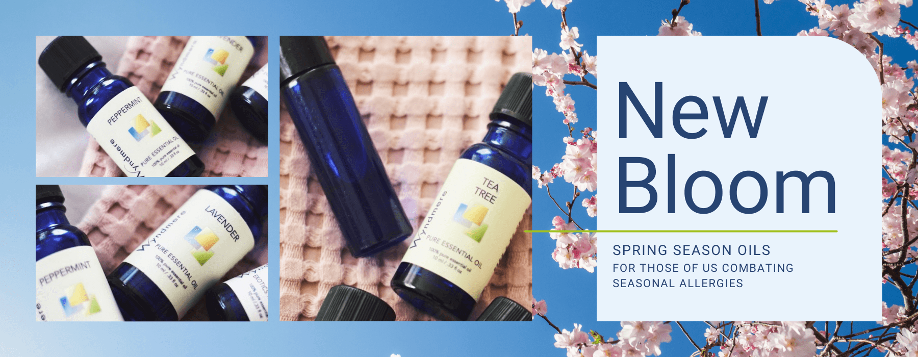 Wyndmere blog top 8 best essential oils for spring allergies. lavender, eucalyptus, peppermint, tea tree, frankincense, chamomile, cedarwood, basil. 
