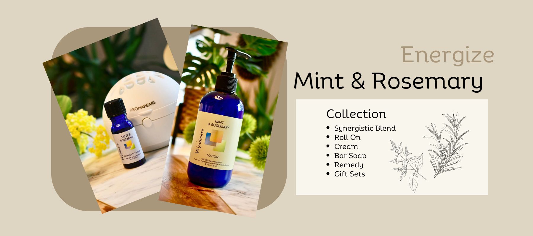 Wyndmere products with Mint & Rosemary blend