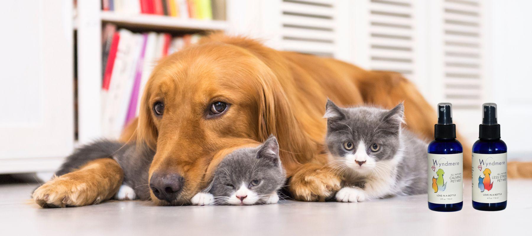 Pet Aromatherapy - Wyndmere Naturals