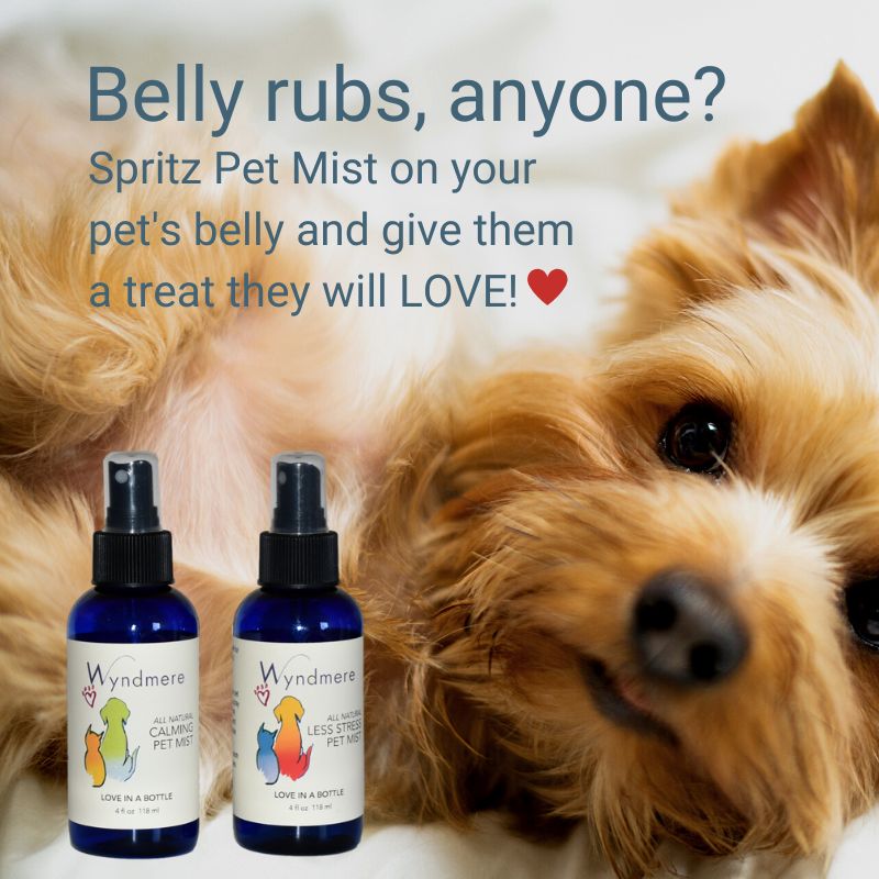 Wyndmere Pet aromatherapy calming and less stress pet mist. Belly rubs with aromatherapy.