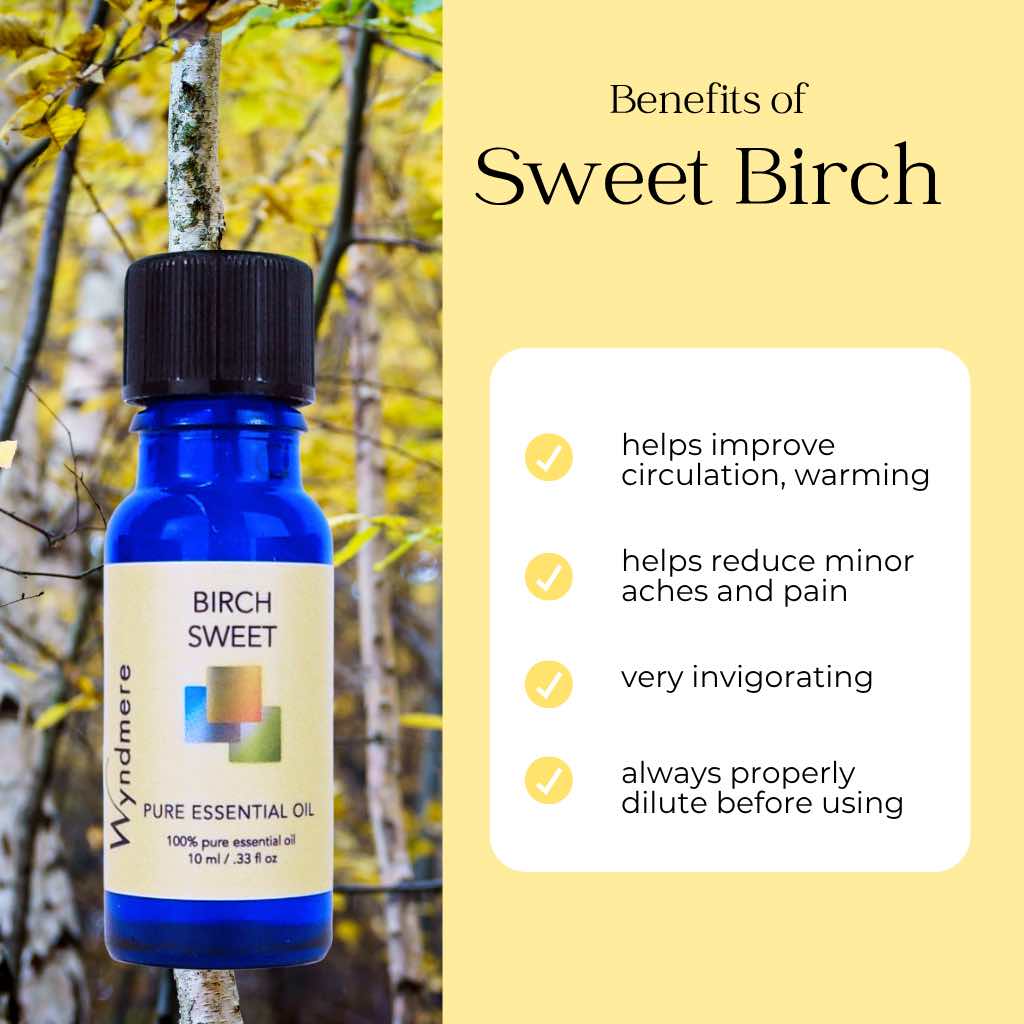 Bottle of Wyndmere Birch Sweet essential oil infographic on a yellow background