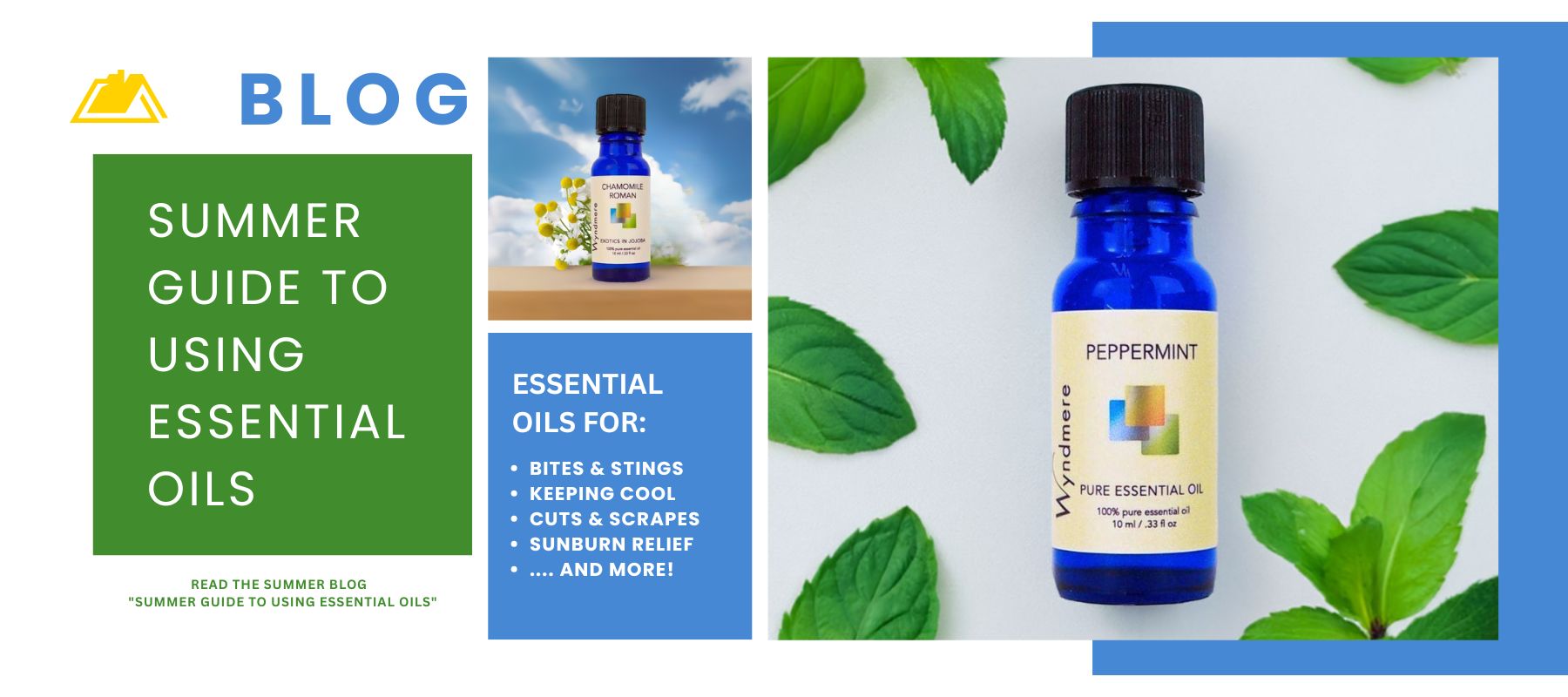 Wyndmere Blog - Pictures of Peppermint and Chamomile. 20% discount on select featured products. 
