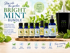 Essential oil set with diffuser and mint leaves on a wooden surface