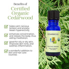 Wyndmere certified organic Cedarwood essential oil bottle on a green leafy background