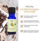 Bottle of Wyndmere certified organic Clove Bud essential oil infographic on a wooden background