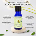 Bottle of Wyndmere certified organic Eucalyptus radiata essential oil infographic on a light background