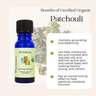 Bottle of Wyndmere certified organic Patchouli essential oil on a beige background with a faded plant