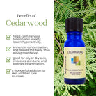 Bottle of Wyndmere Cedarwood essential oil infographic with cedar greenery