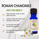 Wyndmere Roman Chamomile essential oil in a cobalt blue bottle, infographic on a white background