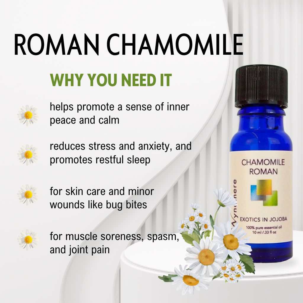 Roman Chamomile essential oil in a cobalt blue bottle with benefits listed on a white background