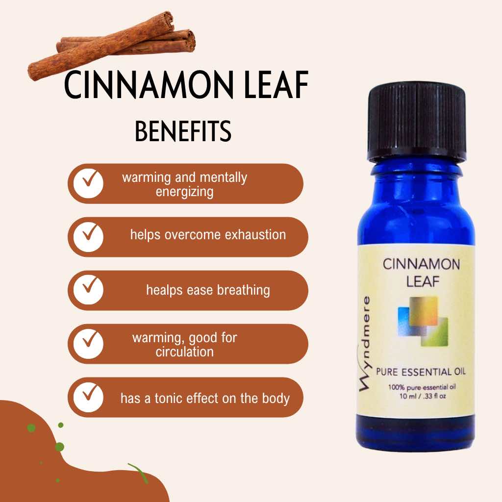 Wyndmere Cinnamon Leaf essential oil in a cobalt blue bottle, infographic on a beige background