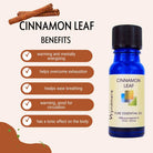 Wyndmere Cinnamon Leaf essential oil in a cobalt blue bottle, infographic on a beige background