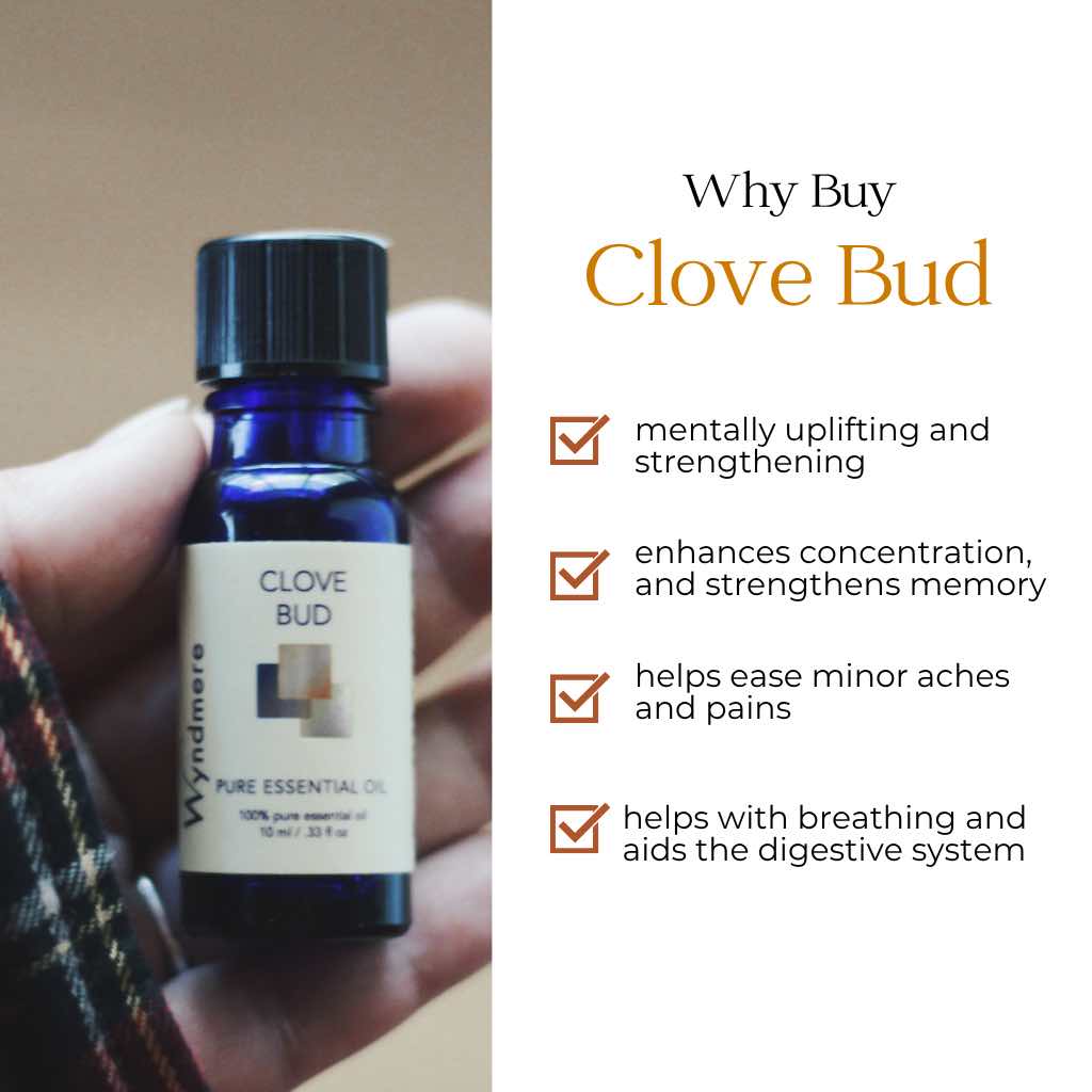 Hand holding a bottle of Wyndmere Clove Bud essential oil with product benefits on a white background.