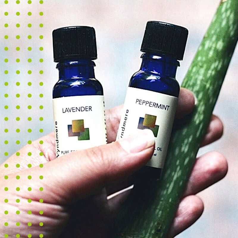 Lavender & Peppermint with aloe plant. Skin cooling for summer. - Wyndmere