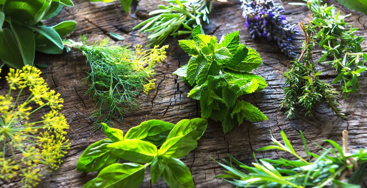 Essential Oil Herbs.jpg__PID:9c89790e-f5d6-481c-9a8d-8d061c96c73d
