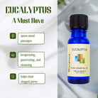 Wyndmere Eucalyptus essential oil bottle infographic on a light background