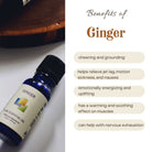 Cobalt blue bottle of Wyndmere Ginger essential oil, infographic on a white background