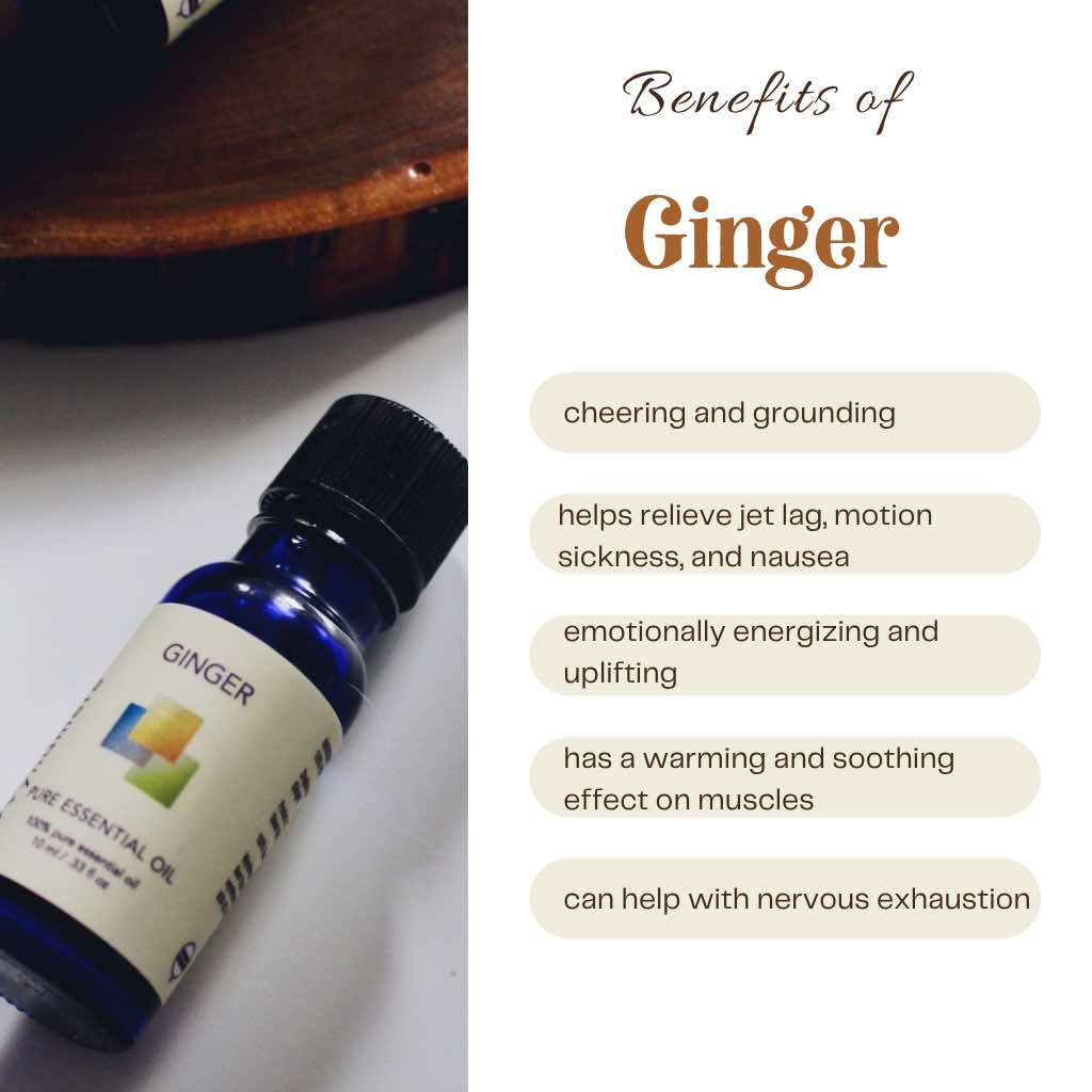 Cobalt blue bottle of Wyndmere ginger essential oil with benefits listed on a white background