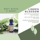 Wyndmere Linden Blossom infographic with leaves on a green and white background