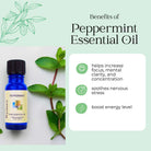 Wyndmere Peppermint essential oil bottle infographic with mint leaves on a light green background