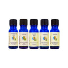 Five blue essential oil bottles with black lids on a white background - Wyndmere